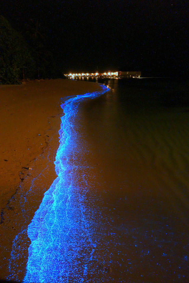 Glowing Footsteps on the Beach on Vaadhoo Island, Maldives